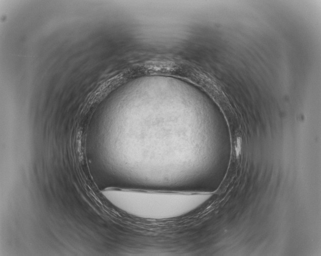 X0000087551396200705041316