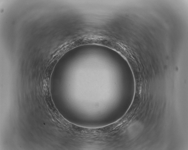 X0000087551397200705041316