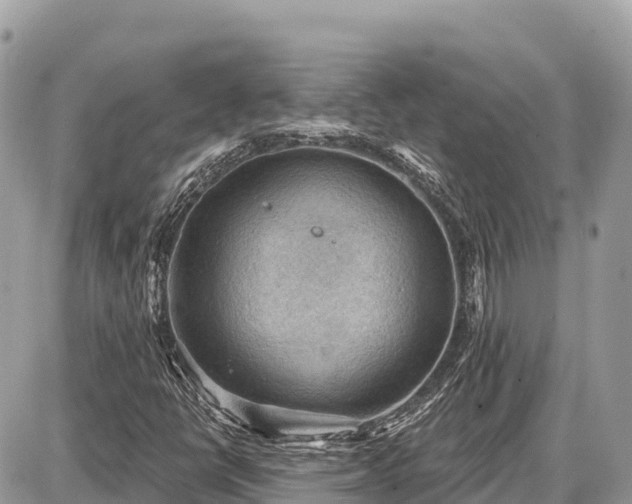 X0000087551398200705041316