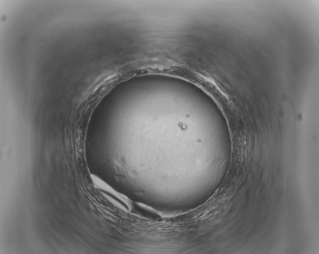 X0000087551399200705041316