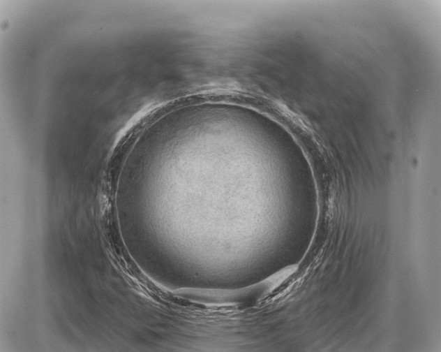 X0000087551400200705041316