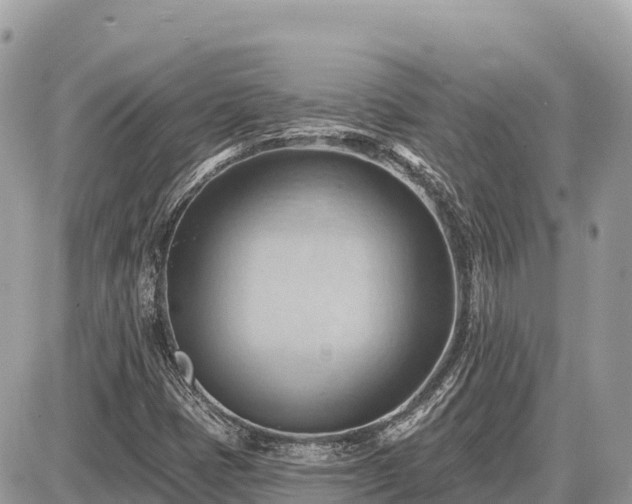 X0000087551401200705041316