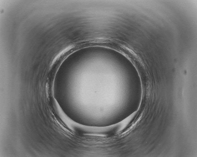 X0000087551402200705041316