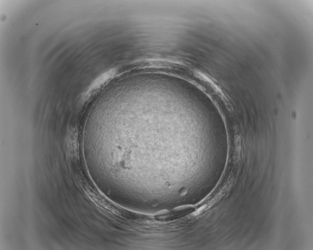 X0000087551403200705041316