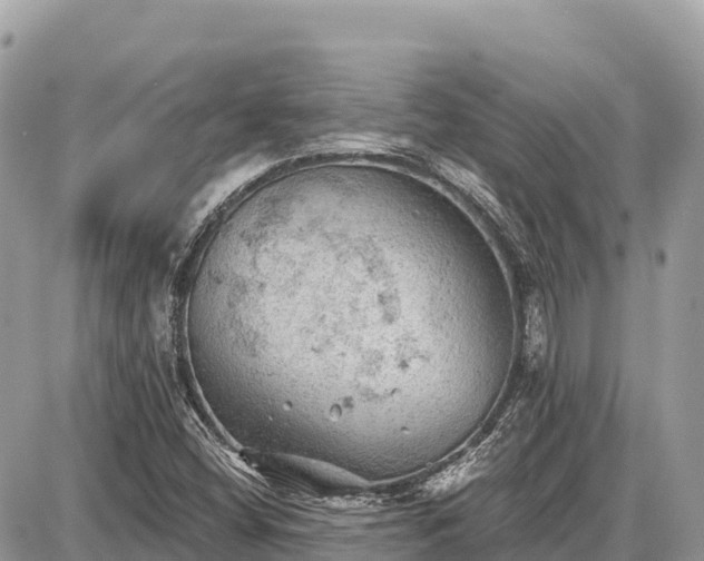 X0000087551404200705041316