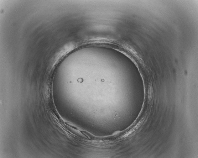 X0000087551405200705041316