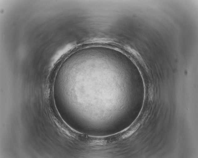 X0000087551406200705041316