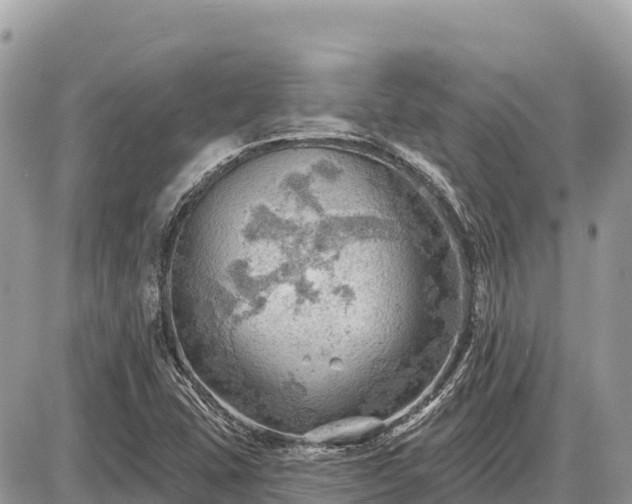 X0000087551407200705041316