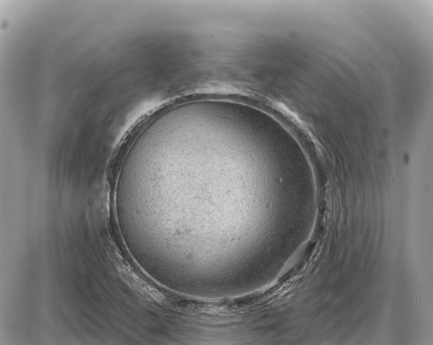 X0000087551408200705041316