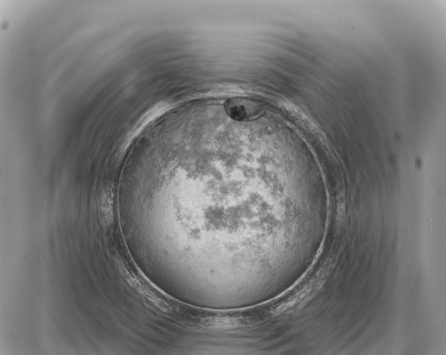 X0000087551409200705041316