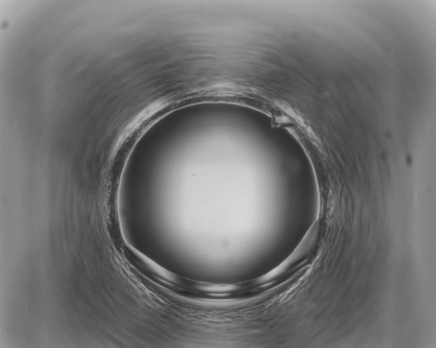 X0000087551410200705041316