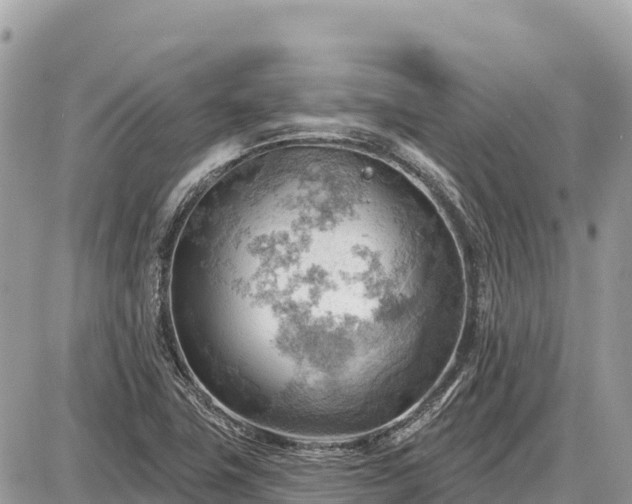 X0000087551411200705041316