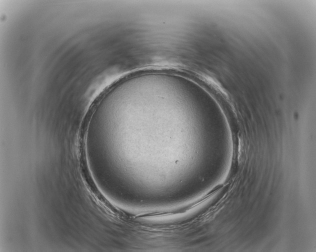 X0000087551412200705041316