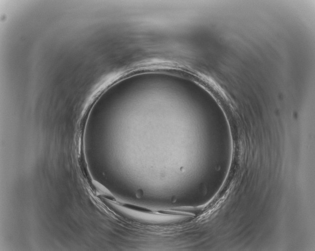 X0000087551413200705041316