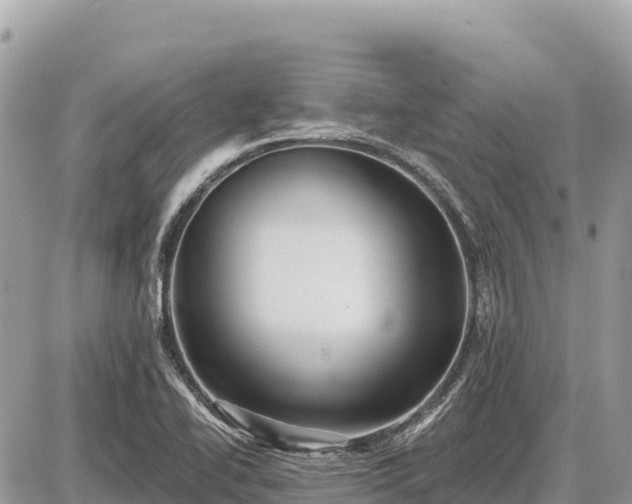 X0000087551414200705041316