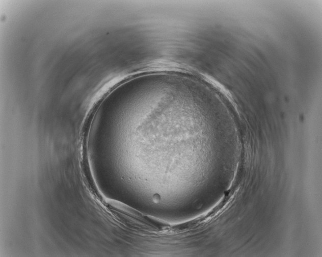 X0000087551415200705041316