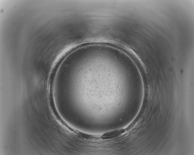 X0000087551416200705041316