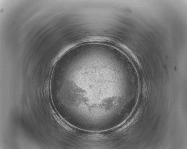 X0000087551417200705041316