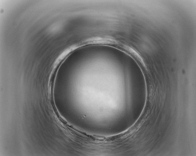 X0000087551419200705041316