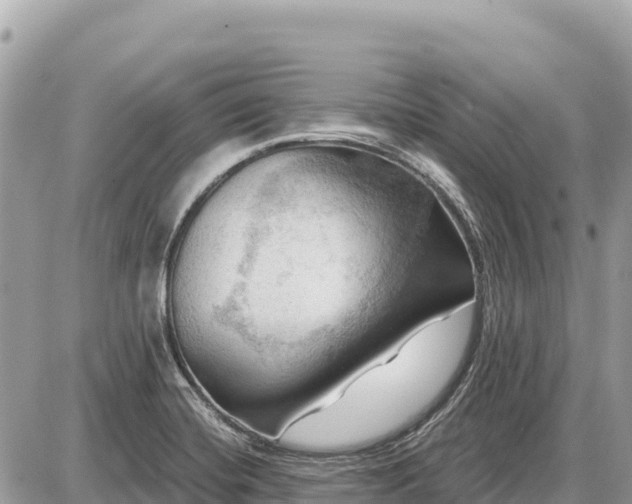 X0000087551420200705041316