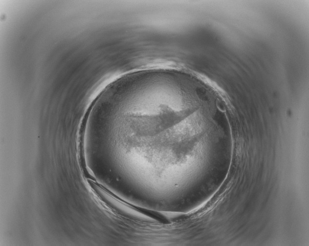 X0000087551423200705041316