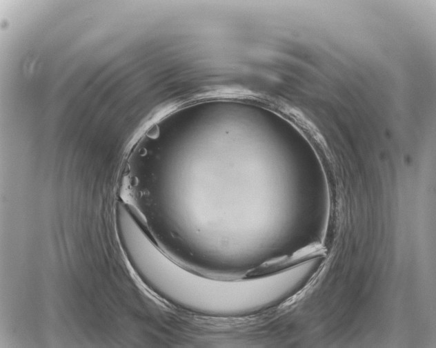 X0000087551425200705041316