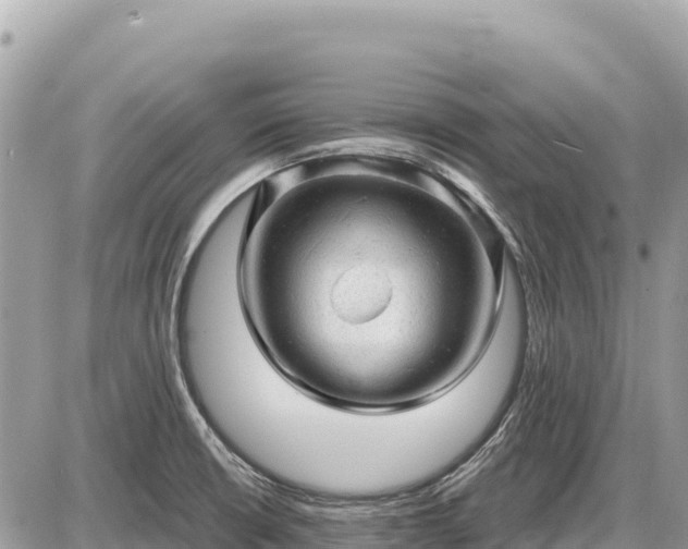 X0000087551426200705041316