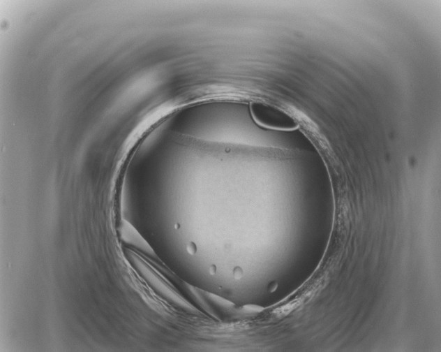 X0000087551427200705041316