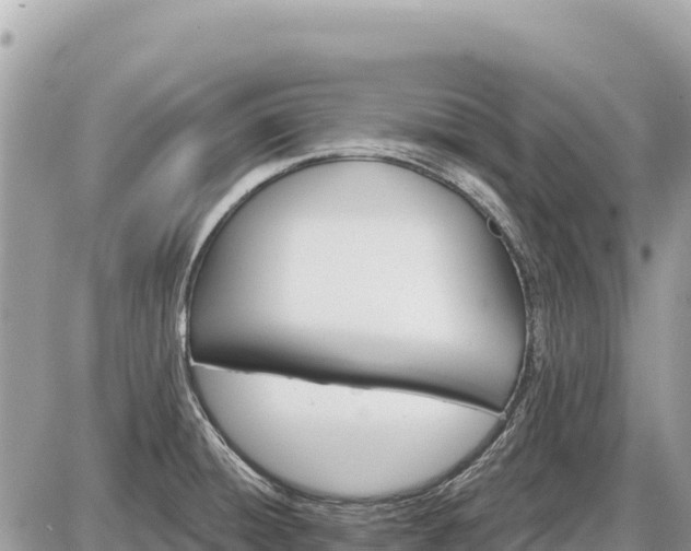 X0000087551428200705041316