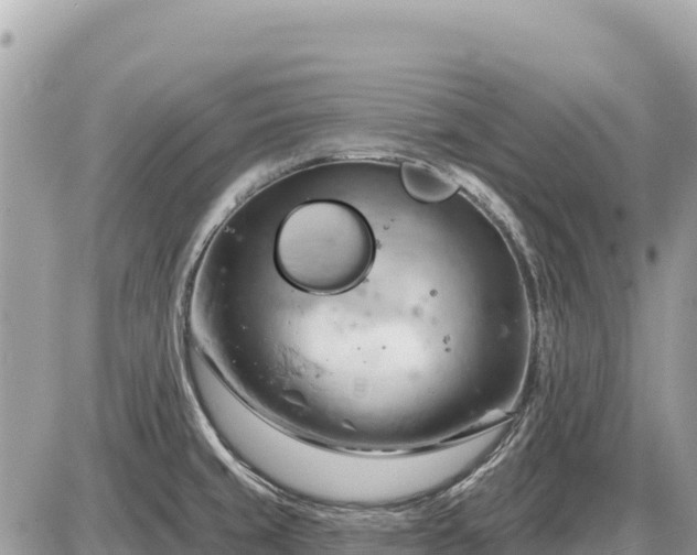 X0000087551429200705041317