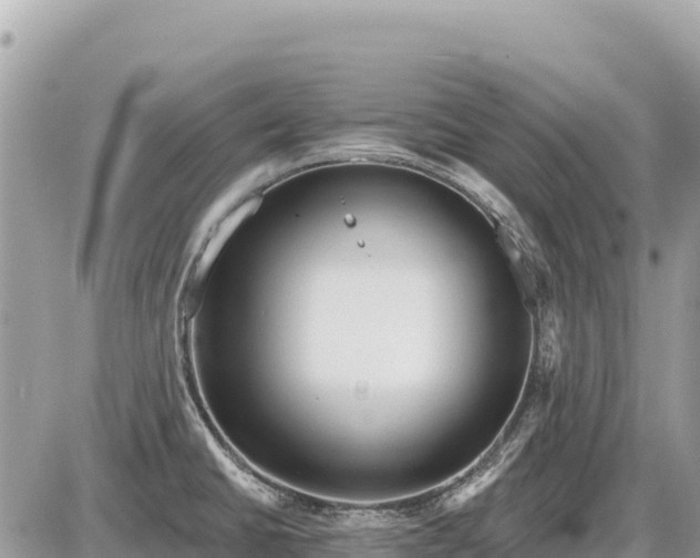 X0000087551430200705041317