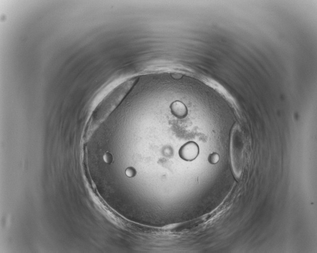 X0000087551431200705041317