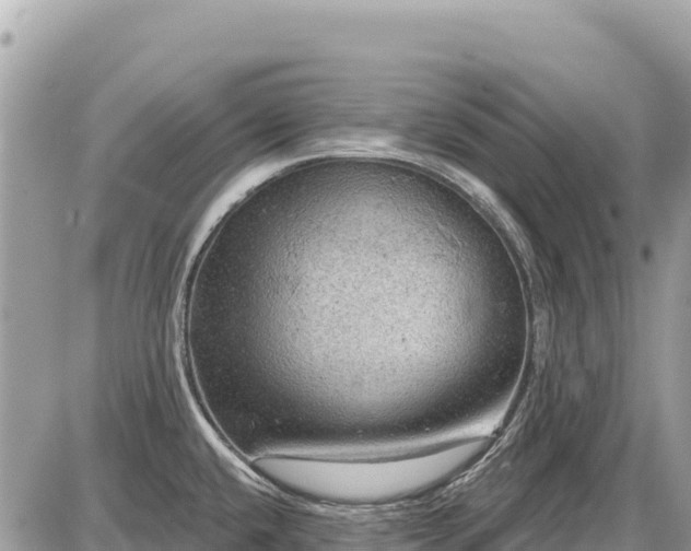 X0000087551432200705041317