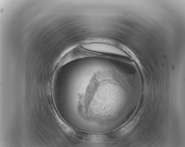 X0000087551433200705041317