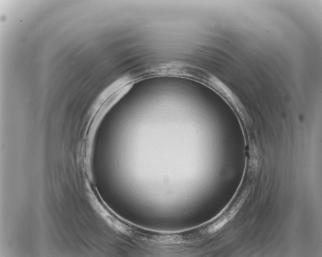 X0000087551434200705041317