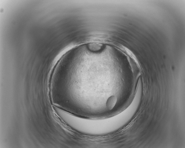 X0000087551435200705041317