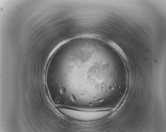 X0000087551436200705041317