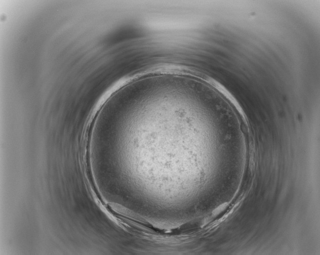 X0000087551437200705041317