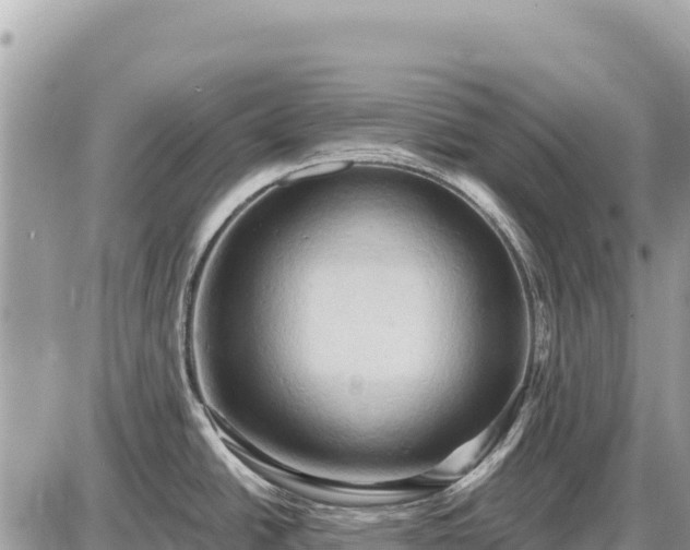 X0000087551438200705041317