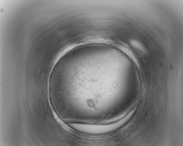 X0000087551439200705041317