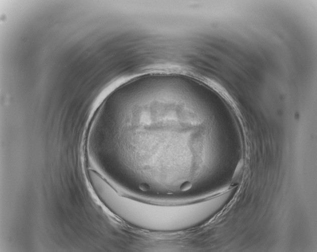 X0000087551440200705041317