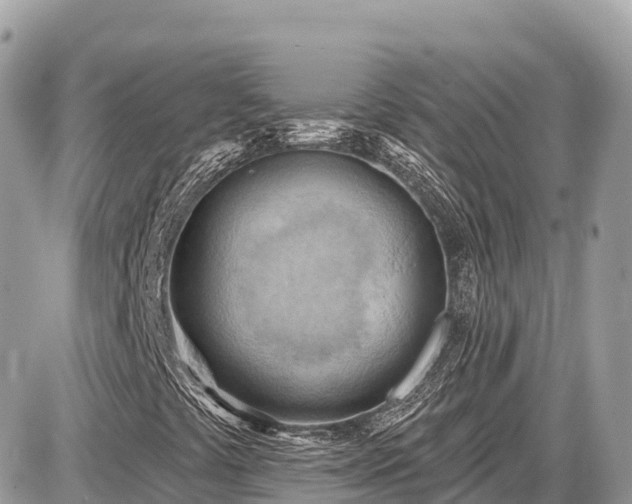 X0000087551441200705041316