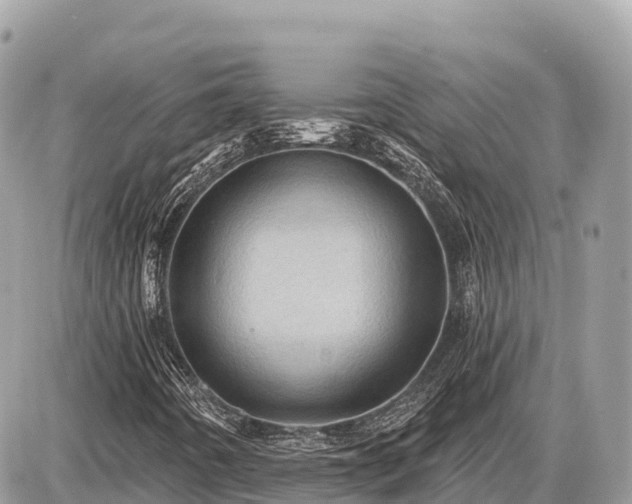 X0000087551442200705041316