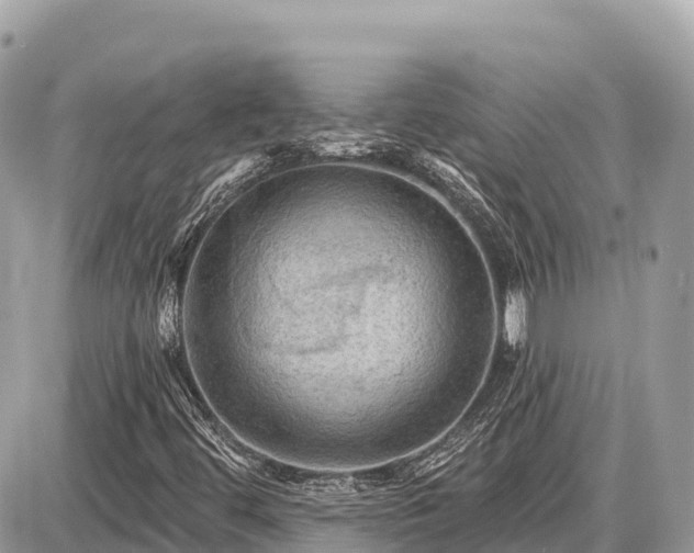 X0000087551444200705041316