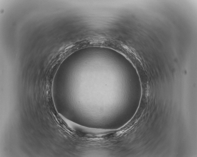 X0000087551445200705041316