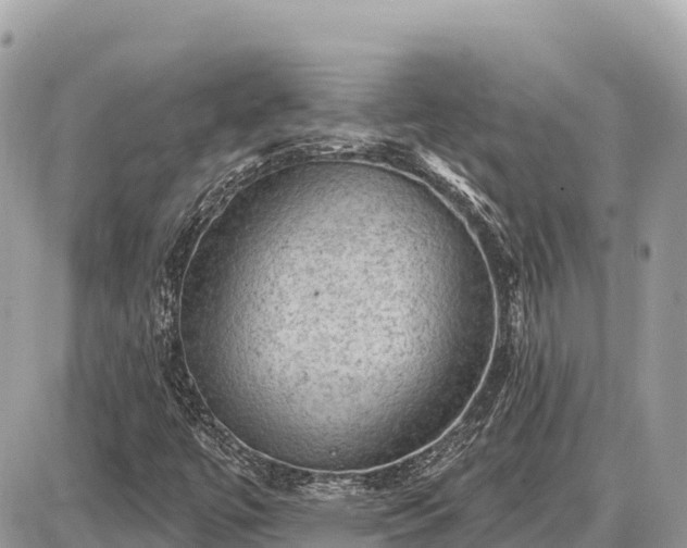 X0000087551447200705041316