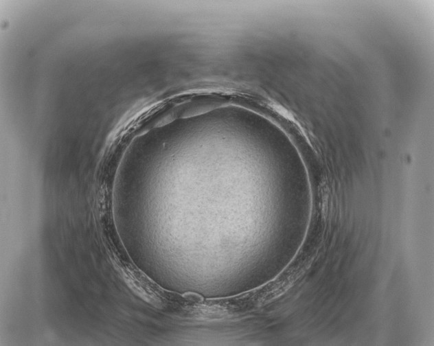 X0000087551448200705041316