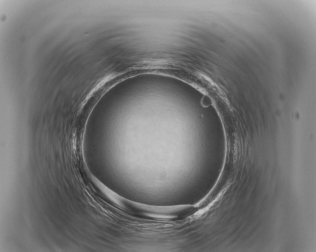 X0000087551449200705041316