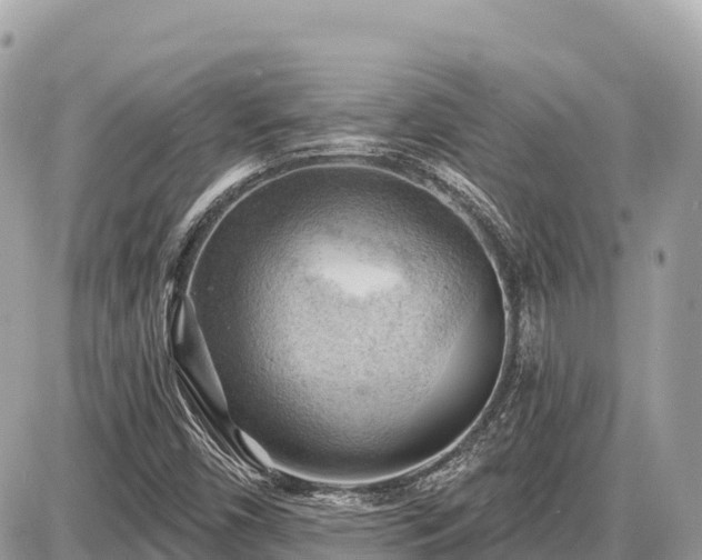 X0000087551450200705041316