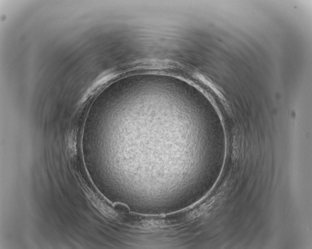 X0000087551451200705041316